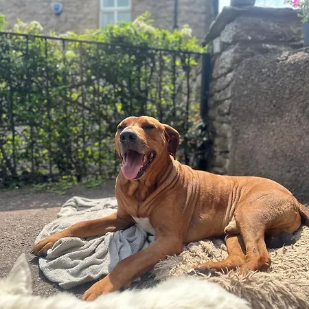 Appartamento Muddy Boots Scarpa